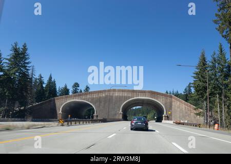 Il traffico si avvicina al Keechelus Lake Wildlife Overcrossing vicino a Snoqualmie Pass, Washington, venerdì 8 settembre 2023. Foto Stock