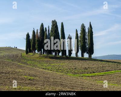 Paesaggio rurale toscano con cipressi Foto Stock