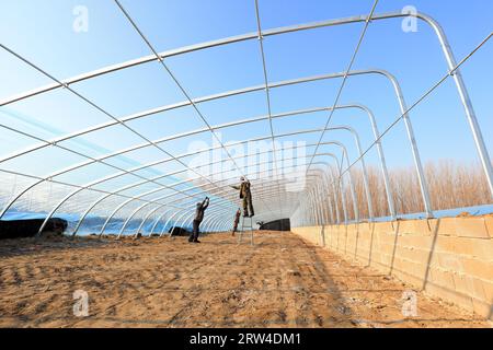LUANNAN COUNTY, Cina - 10 dicembre 2020: Gli agricoltori stanno costruendo serre di alto livello in una fattoria, LUANNAN COUNTY, provincia di Hebei, Cina Foto Stock