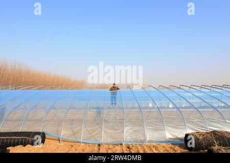 LUANNAN COUNTY, Cina - 10 dicembre 2020: Gli agricoltori stanno costruendo serre di alto livello in una fattoria, LUANNAN COUNTY, provincia di Hebei, Cina Foto Stock