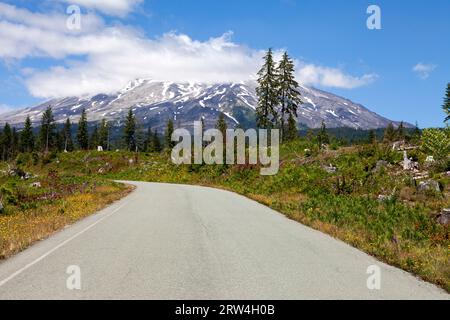 Linea di fiori selvatici FS-83 sul lato orientale del Monte Sant'Elena Foto Stock