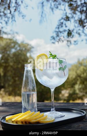 Bicchiere di gin tonic con ghiaccio, fetta di limone e foglie di menta su un vassoio con limone e alberi con cielo nuvoloso sullo sfondo Foto Stock