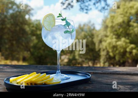 Bicchiere con gin e ghiaccio tonico e fetta di limone su un vassoio con fette di limone, tra gli alberi di fondo e un cielo nuvoloso Foto Stock