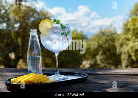 Bicchiere di gin tonic con ghiaccio, fetta di limone e foglie di menta su un vassoio con limone e alberi con cielo nuvoloso sullo sfondo Foto Stock