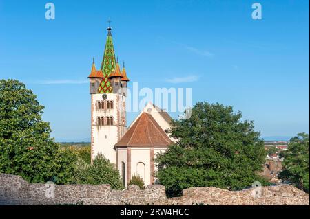 Chiesa storica di San Giorgio, Chatenois, Alsazia, Francia Foto Stock