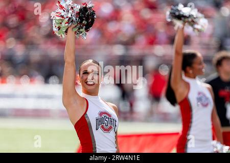 Columbus, Ohio, USA. 16 settembre 2023. Le cheerleader degli Ohio State Buckeyes in azione durante la partita tra i Western Kentucky Hilltoppers e gli Ohio State Buckeyes all'Ohio Stadium di Columbus, Ohio. (Immagine di credito: © Scott Stuart/ZUMA Press Wire) SOLO USO EDITORIALE! Non per USO commerciale! Foto Stock