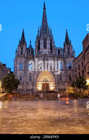 Cattedrale di Barcellona in serata, quartiere gotico (Barri Gotic) della città, Catalogna, Spagna Foto Stock