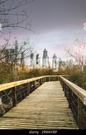 Sentiero in legno in una riserva naturale vicino alla città di Buenos Aires, Argentina Foto Stock