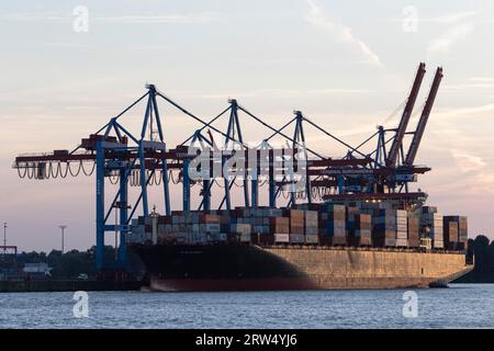 Nave portacontainer W Klaipeda e gru a cavalletto per container presso il terminal Burchardkai alla luce serale del porto di Amburgo, Amburgo, Germania Foto Stock
