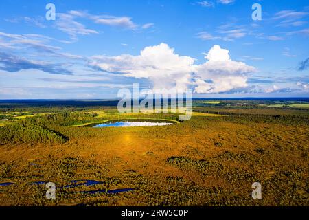 Spettacolare vista aerea di un lago Mannikjarve nella riserva naturale di Endla in una splendida giornata estiva di sole, nella contea di Jogevamaa, Estonia Foto Stock