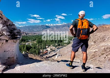 Vista della catena montuosa Stok da Shanti Stupa, Leh, Ladakh, India Foto Stock