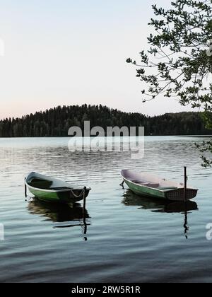 Due barche, pesca a due turni, trasporto d'acqua di colore verde al guinzaglio, ormeggiato sul lago vicino alla riva, solitario in attesa dei pescatori al fresco la mattina presto all'alba Foto Stock