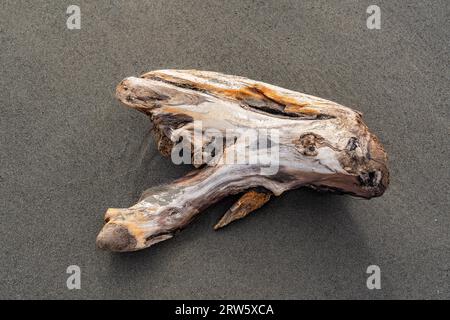 Incredibile forma di serpente sulla sabbia Foto Stock