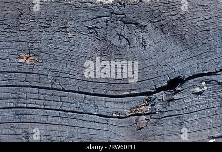 Struttura di fondo in legno della lavagna bruciata Foto Stock