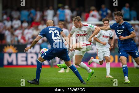 Colonia, Germania. 16 settembre 2023. Steffen Tigges (Köln) 1. FC Köln - TSG 1899 Hoffenheim 16.09.2023 Copyright (nur für journalistische Zwecke) di : Foto Stock