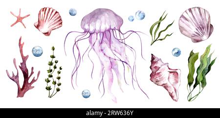 Set di illustrazioni ad acquerello del mondo sottomarino dell'oceano. Meduse e conchiglie isolate su sfondo bianco Foto Stock