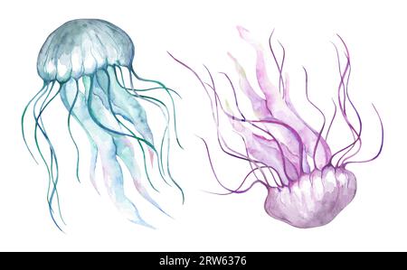 Set di illustrazioni ad acquerello del mondo sottomarino dell'oceano. Meduse isolate su sfondo bianco Foto Stock