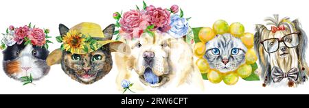 Bordo per animali domestici. Disegno ad acquerello dipinto a mano, isolare la clip art su sfondo bianco. Design banner Foto Stock