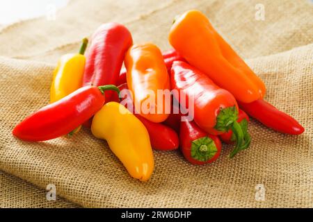 Assortimento di peperoni freschi. Pepe rosso, pepe giallo, pepe d'arancia primo piano su un retro rustico Foto Stock