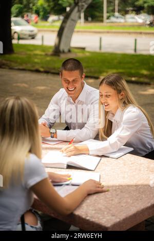 Diversi studenti universitari si impegnano in dibattiti accademici, discutendo esami e scambiandosi idee all'aperto. Lavoro di squadra collaborativo e di successo in un mult Foto Stock