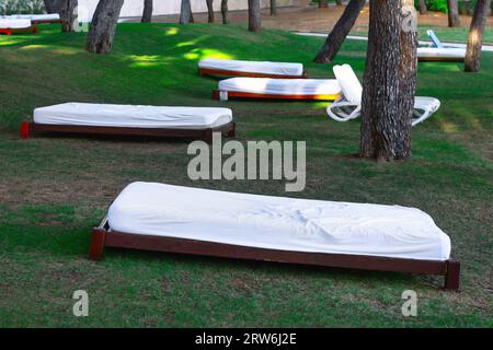 Lettini bianchi su prato verde nel parco Foto Stock