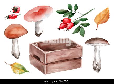 Collezione luminosa con realistiche foglie autunnali ad acquerello, scatola di legno, funghi e rosa fianchi isolati su sfondo bianco. Frutti di bosco e bacche Foto Stock