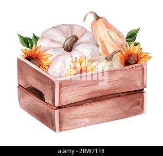 Scatola di legno con zucche e girasoli. illustrazione a mano dell'acquerello Foto Stock
