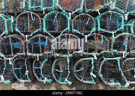 Colored Lobster Pots, Staithes, North Yorkshire, Regno Unito Foto Stock