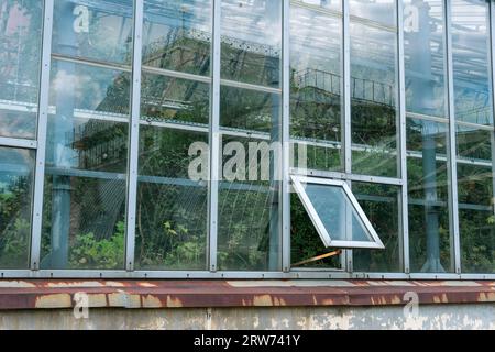 facciata di una vecchia grande serra con piante tropicali, che riflette un'altra serra Foto Stock