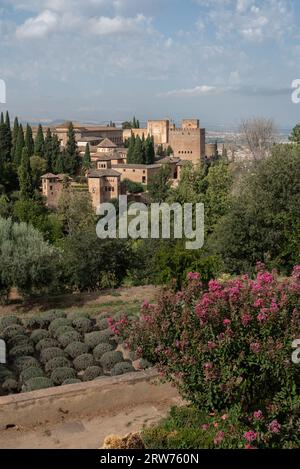 Vista dei frutteti, dell'Alhambra e dell'Albaicin dal patio Acequia nel Palazzo Almunia nel Generalife Foto Stock