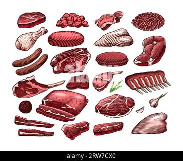 Prodotti a base di carne rossa. Manzo di vitello, costolette, pancetta, jamon, mortadella, Bistecca di manzo di agnello, salsiccia di maiale, cosce di pollo, controccia, macelleria di brisket Illustrazione Vettoriale