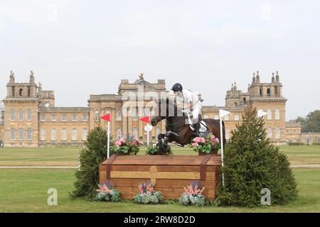 Harry Meade cavalcando et Hop du Matz nel CCI-L 4* durante le prove ippiche internazionali del Blenheim Palace a Blenheim Palace, Woodstock, Oxfordshire sabato 16 settembre 2023. (Foto: Jon Bromley | mi News) crediti: MI News & Sport /Alamy Live News Foto Stock