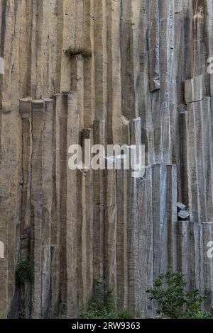 Texture diversa in cose e luoghi diversi Foto Stock