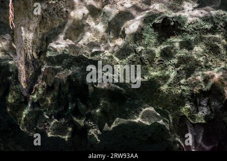 Texture diversa in cose e luoghi diversi Foto Stock