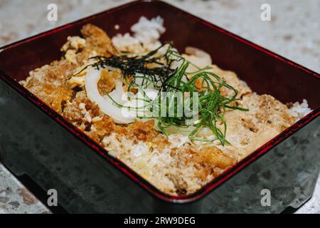 Katsu con riso su piastra rettangolare. Cibo giapponese. Foto Stock