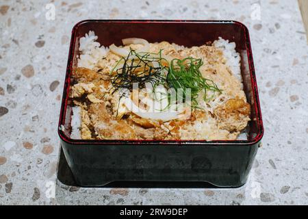 Katsu con riso su piastra rettangolare. Cibo giapponese. Foto Stock