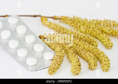 Heuschnupfen mit Antihistaminikum und Hazelnussbluete, rinite allergica con fioritura di noccioli e antagonista dell'istamina Foto Stock