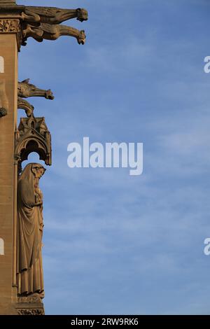 Gargoyle e statua della Vergine Maria presso la cattedrale di Metz, scattata in formato ritratto, sfondo blu cielo Foto Stock