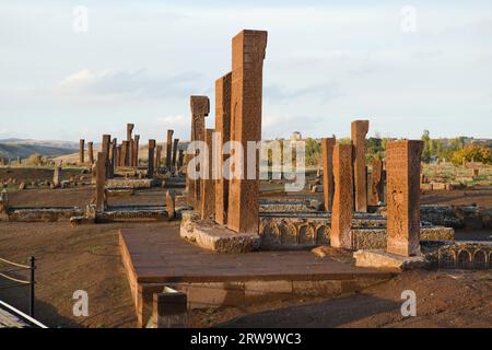 Lapidi dei selgiuchidi ad Ahlat, Turchia Foto Stock