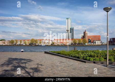 Skyline della città di Rotterdam e passeggiata lungo il fiume Nieuwe Maas (nuova Mosa) nei Paesi Bassi, provincia dell'Olanda meridionale Foto Stock