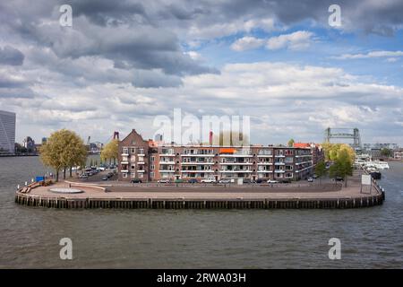Condomini su un'isola fluviale nel centro della città di Rotterdam, Olanda meridionale, Paesi Bassi Foto Stock