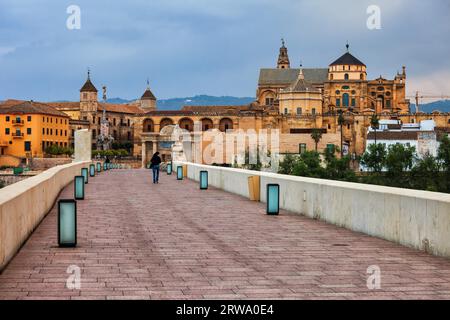 Cattedrale della moschea nella città di Cordova, Spagna, vista dal Ponte Romano (Puente Romano), skyline della città vecchia Foto Stock