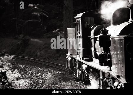 Melbourne, Australia, 11 giugno 2012: Il treno a vapore Puffing Billy attraversa un vecchio ponte di legno a Melbourne, Victoria, Australia Foto Stock