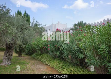 Alcudia, Spagna - 30 agosto 2023: Ingresso al museo d'arte Museu sa bassa Blanca e ai giardini di Maiorca Foto Stock