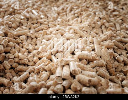 Biocombustibile rinnovabile: Pellet di legno ricavati da rifiuti di legno Foto Stock