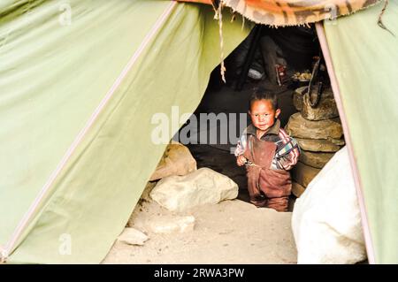 Dolpo, Nepal, circa giugno 2012: Piccolo ragazzo dai capelli castani in abiti marroni dal loro rifugio a Dolpo, Nepal. Documentario editoriale Foto Stock