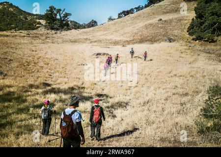 Vista posteriore di quattro escursionisti a Sutter Buttes Foto Stock