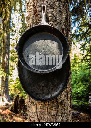 Padelle in ghisa appese a un albero Foto Stock