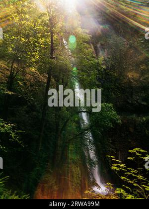 Una cascata sul Pacific Crest Trail lungo la gola del fiume Columbia Foto Stock