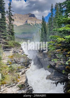 Cascate Sunwapta vicino al Jasper National Park, Alberta, Canada. Foto Stock